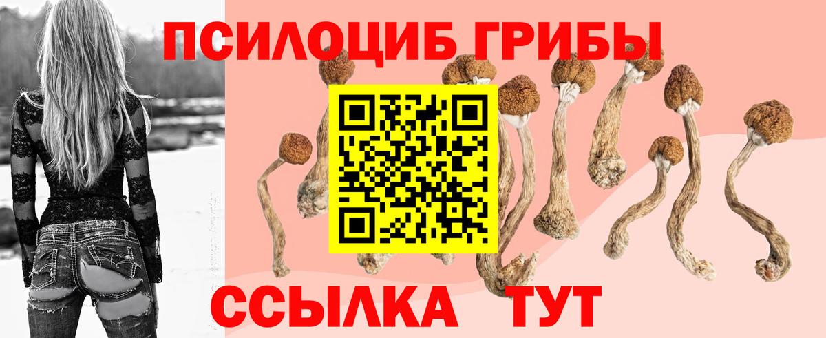 Псилоцибиновые грибы прущие грибы  Вход с VPN  Псилоцибиновые грибы мухоморы  Кизляр 