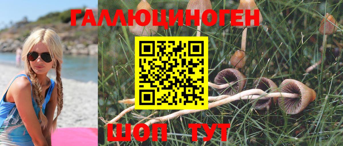 Галлюциногенные грибы мухоморы Кизляр